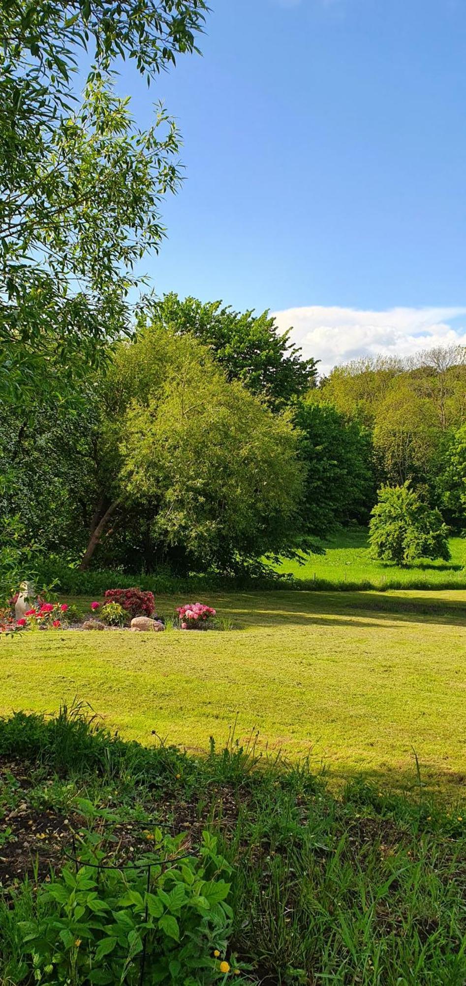 Bed and Breakfast Hos Molsgaarden Knebel Exterior foto